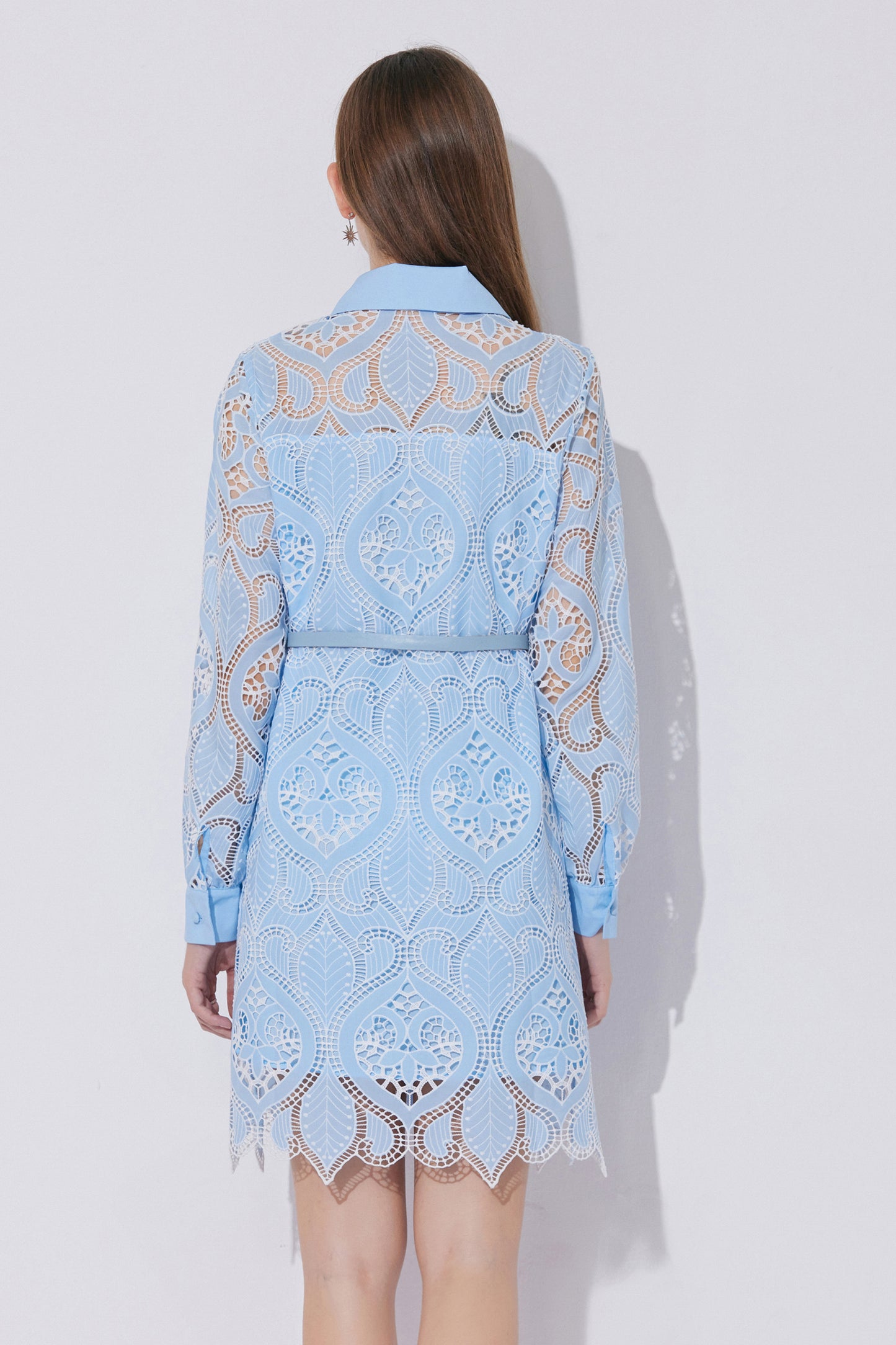 Women's Lace Hollow Embroidery Mini Dress