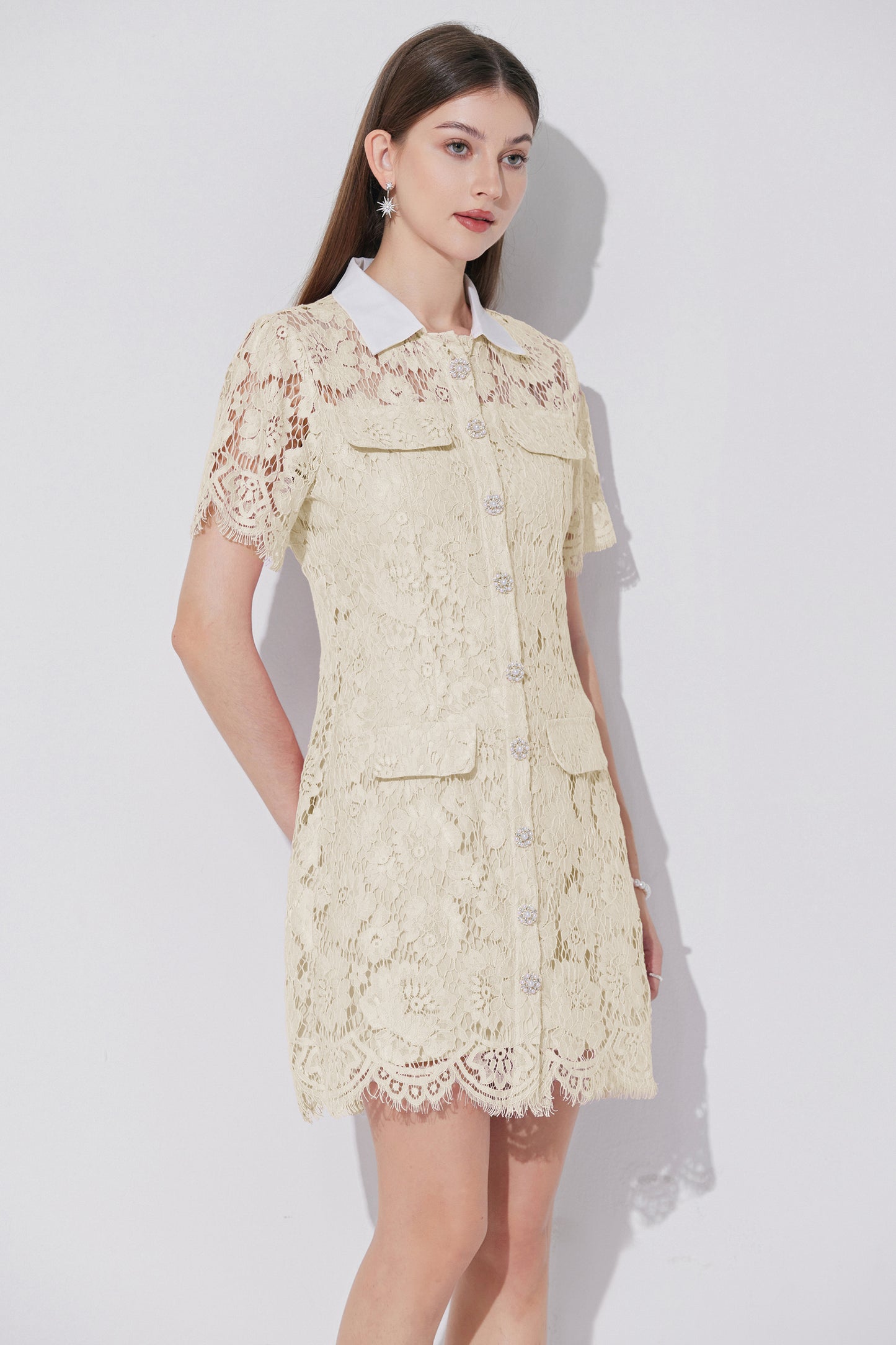 Women's Lace Floral Contrast Collar Mini Dress