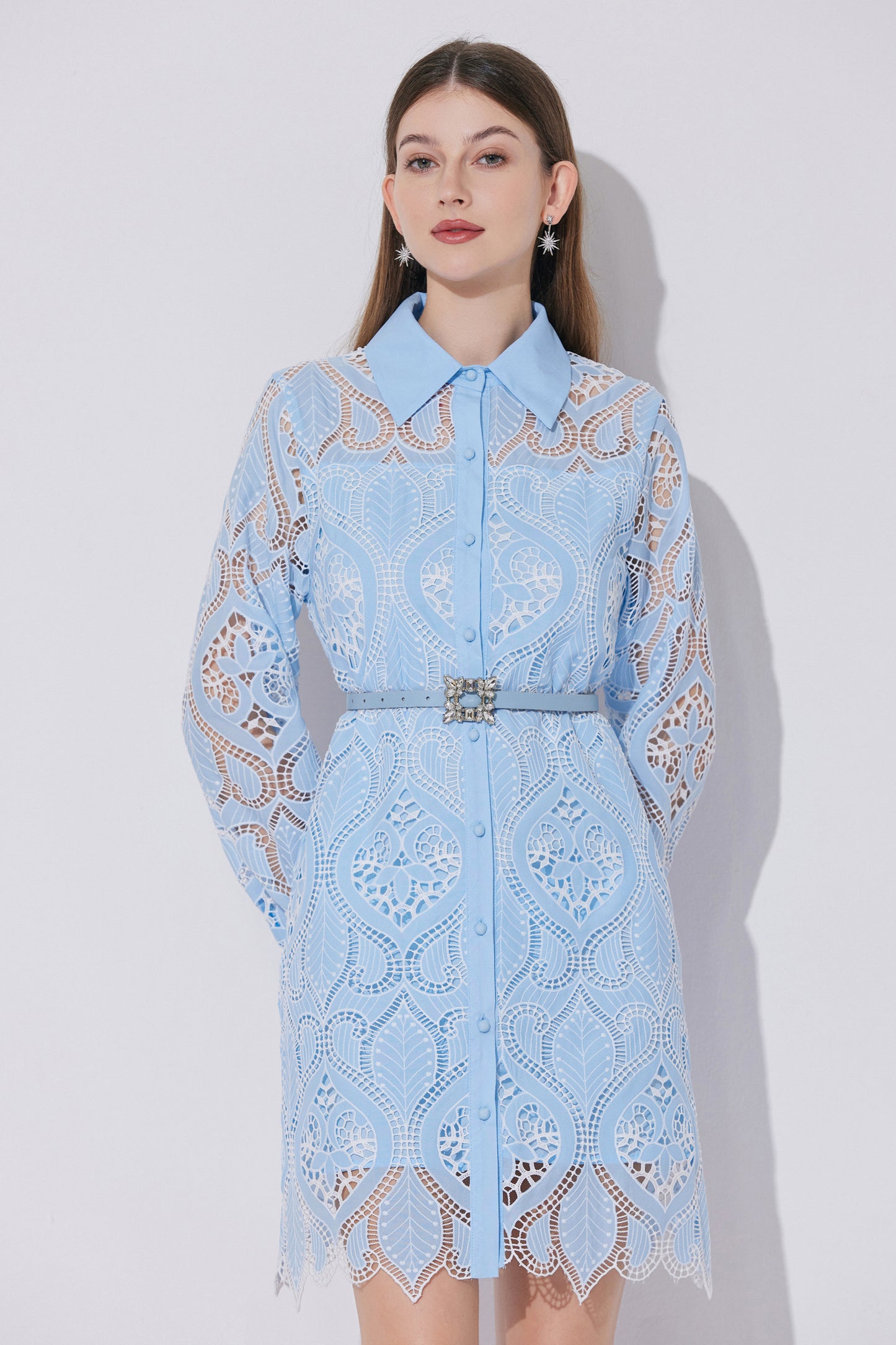 Women's Lace Hollow Embroidery Mini Dress