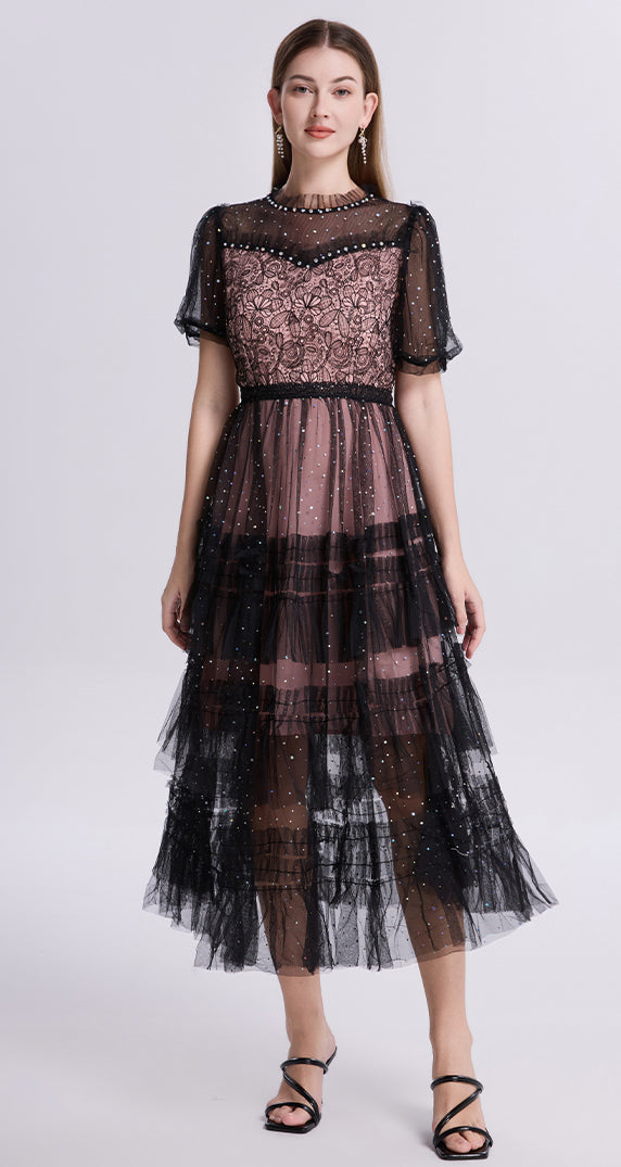 Black Sheer Sleeves Lace Glitter Tulle Dress