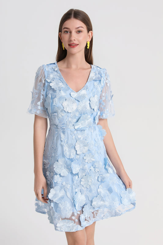 Women's 3D Floral V-Neck Lace Mesh Mini Dress