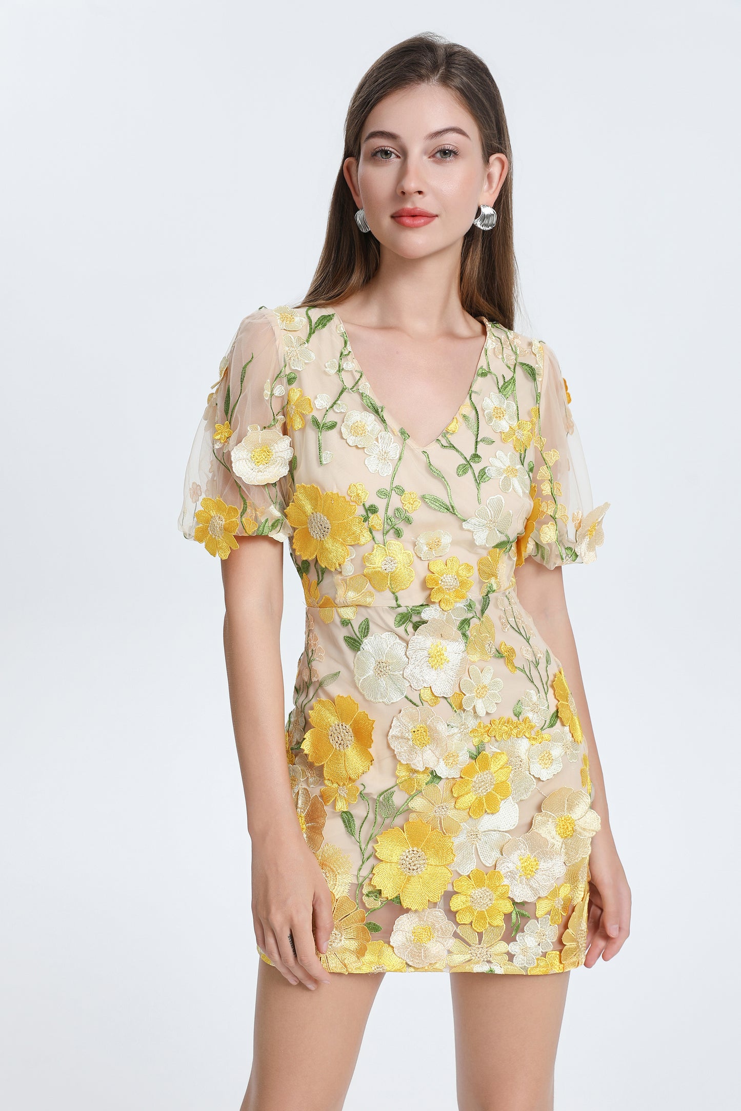 Women's 3D Floral V-Neck Lace Mesh Mini Dress