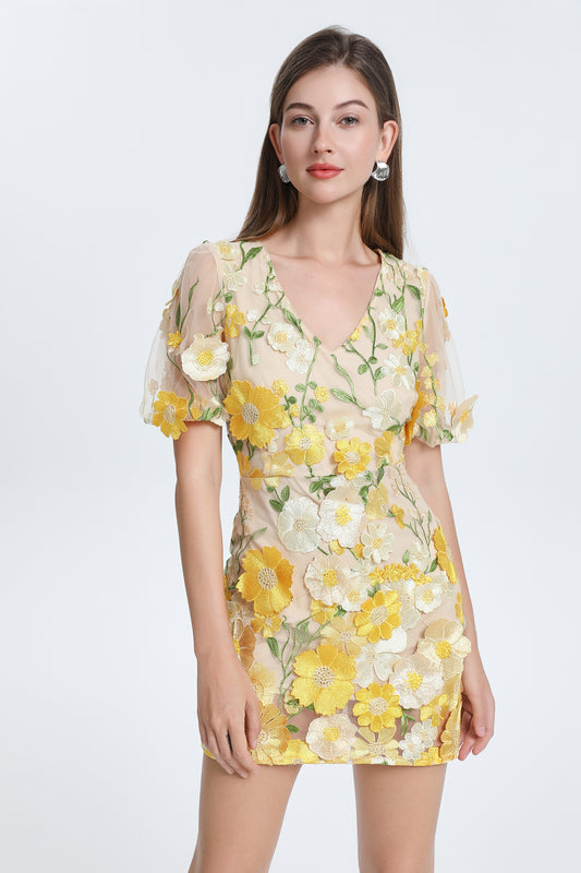 Women's 3D Floral V-Neck Lace Mesh Mini Dress