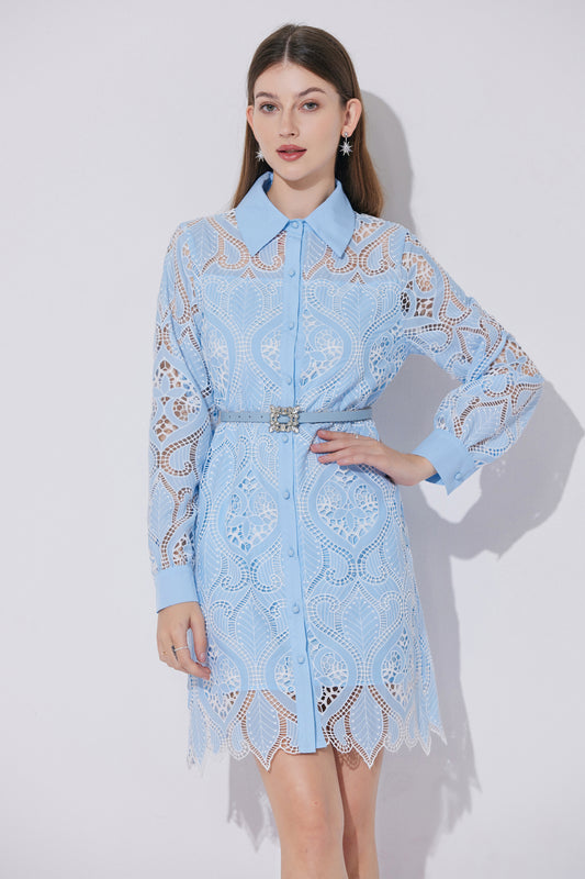 Women's Lace Hollow Embroidery Mini Dress