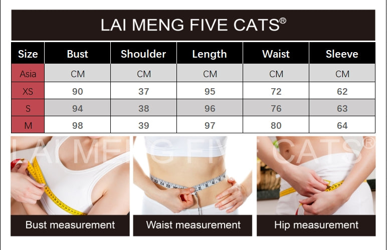 French Lace Lantern Sleeve Mini Dress - LAI MENG FIVE CATS