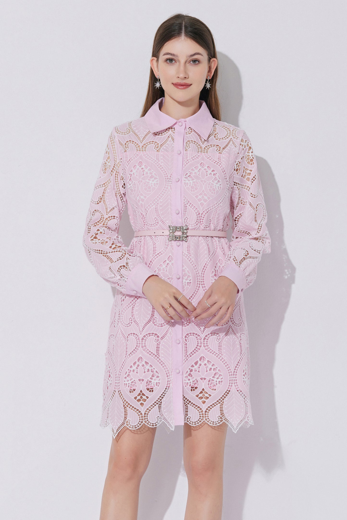 Women's Lace Hollow Embroidery Mini Dress