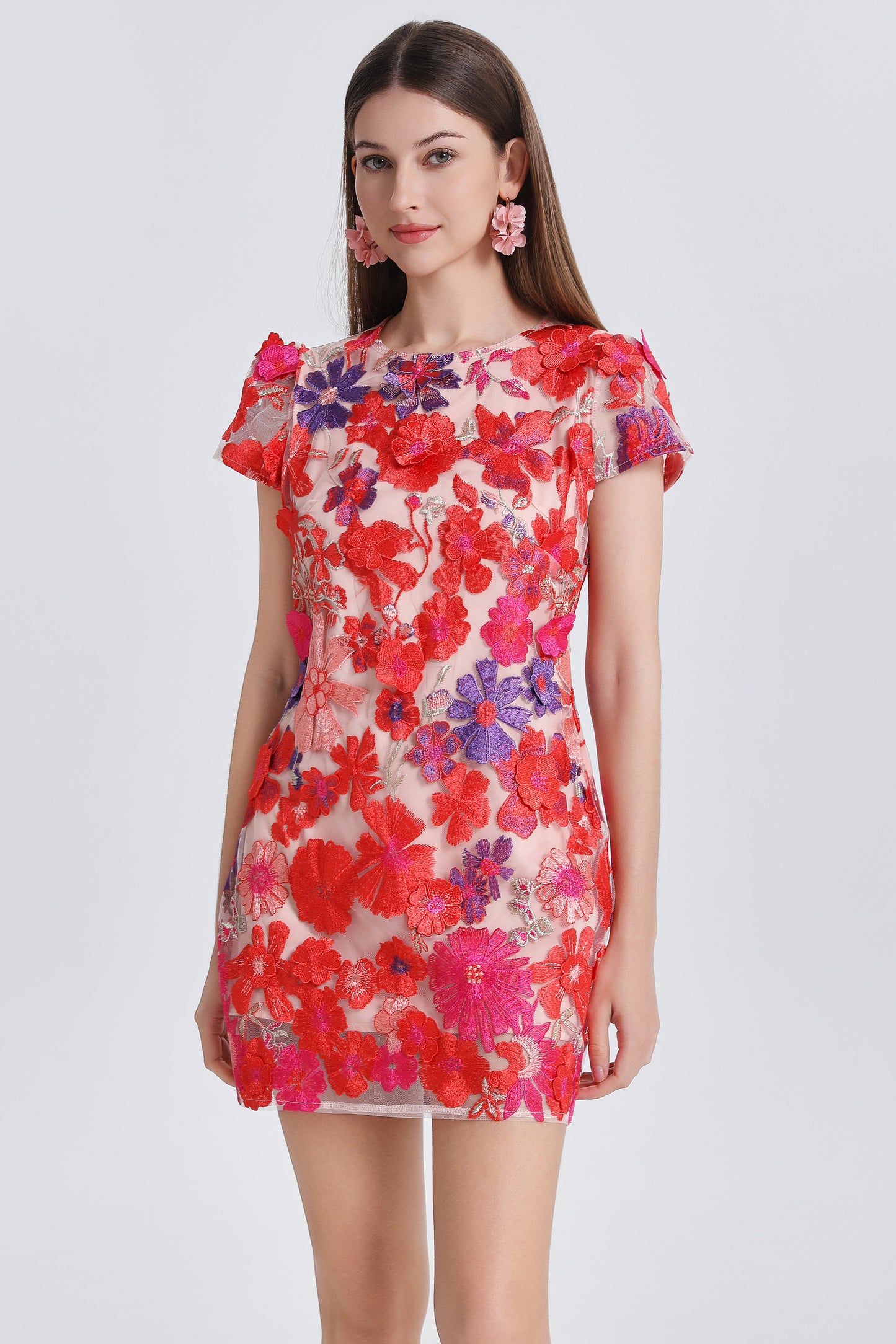 Women's 3D Floral Embroidery Mesh Lace Mini Dress