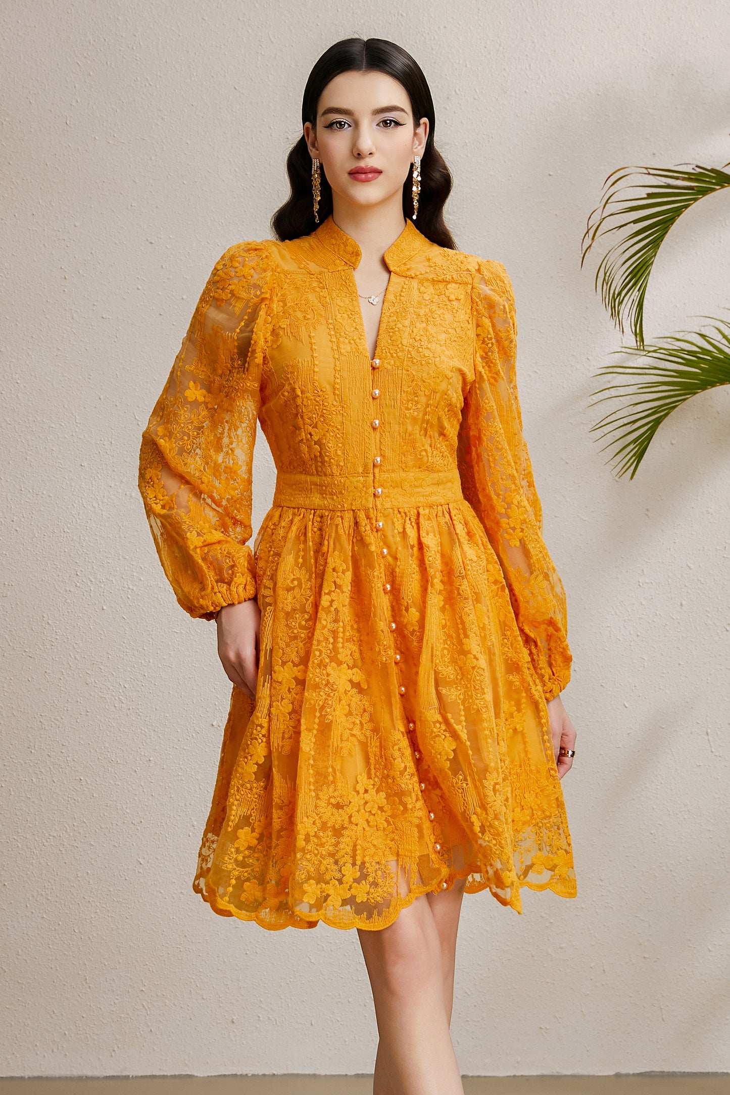Women's V-Neck Lace Lantern Sleeve Pleated Mini Dress