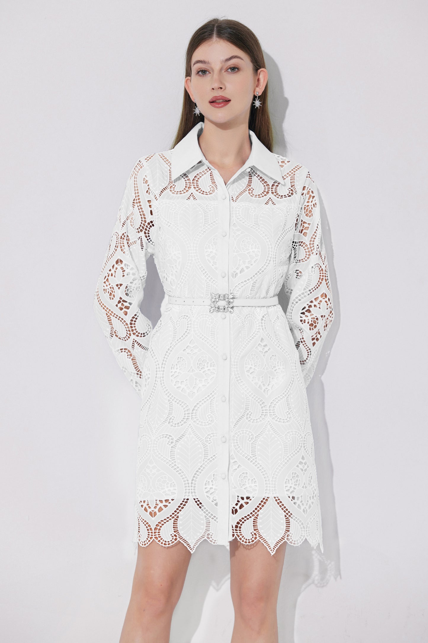 Women's Lace Hollow Embroidery Mini Dress
