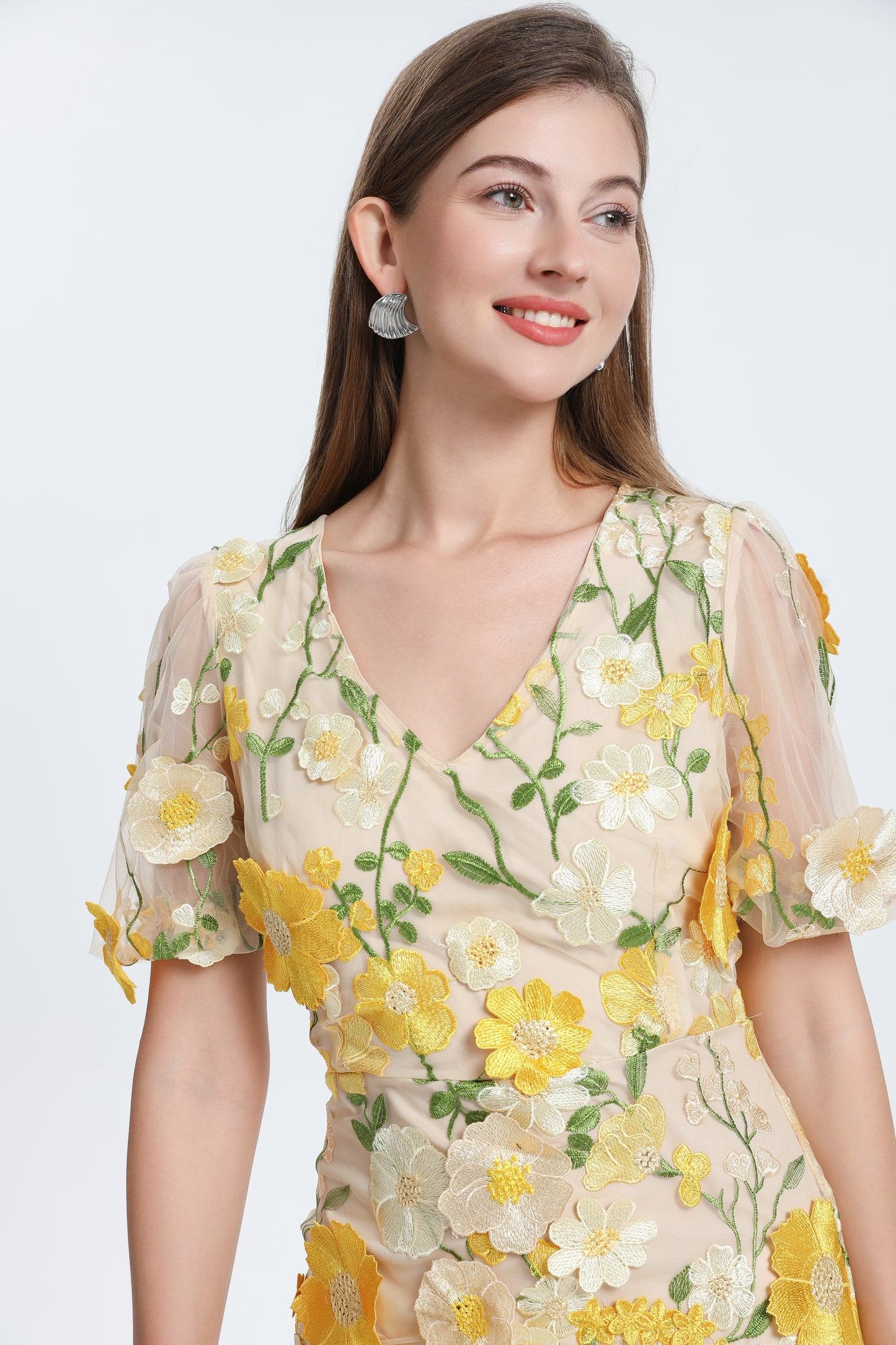 Women's 3D Floral V-Neck Lace Mesh Mini Dress