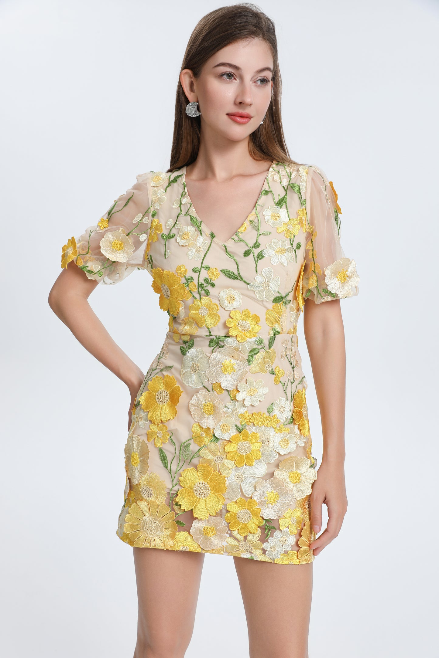 Women's 3D Floral V-Neck Lace Mesh Mini Dress