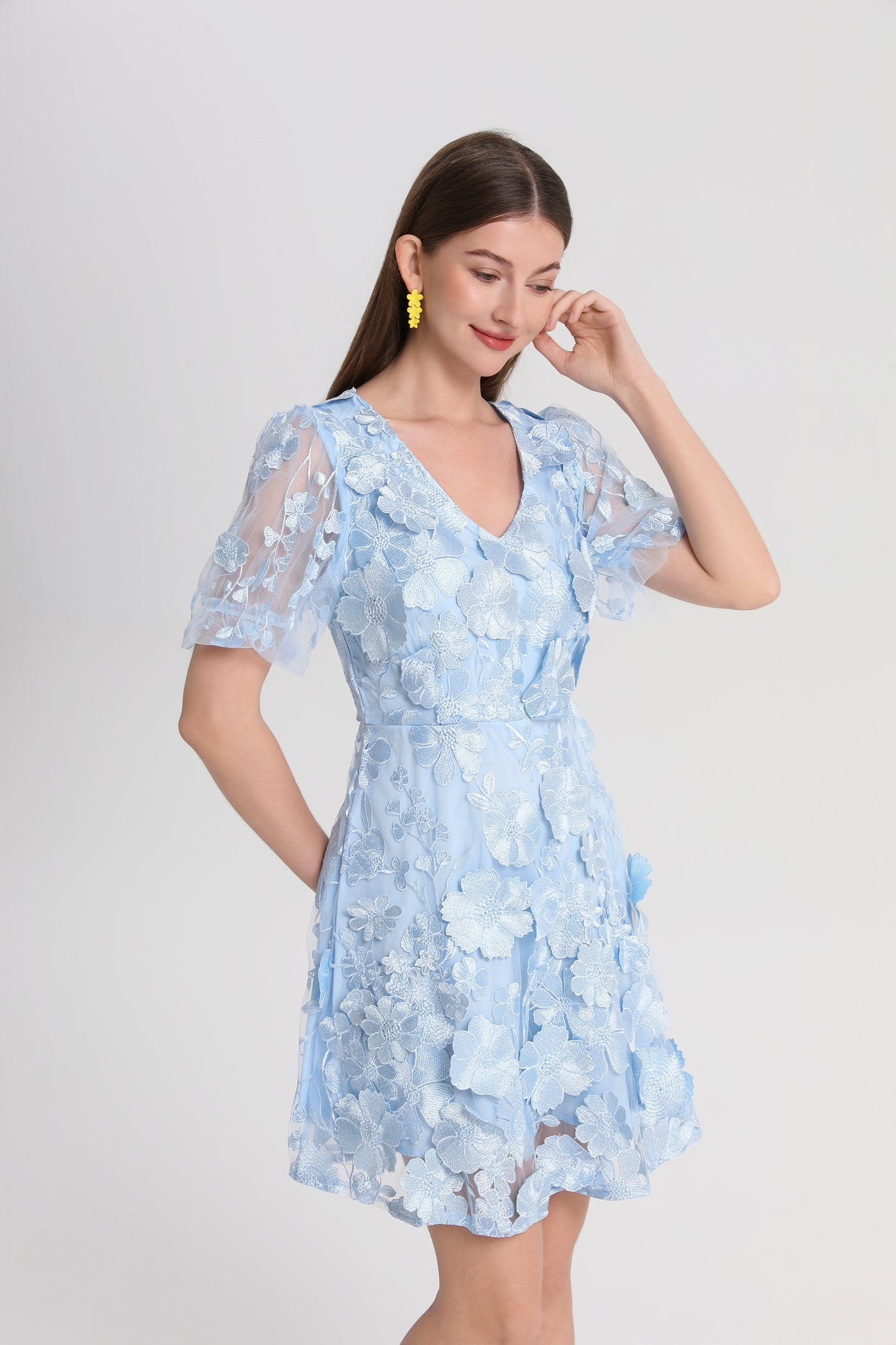 Women's 3D Floral V-Neck Lace Mesh Mini Dress