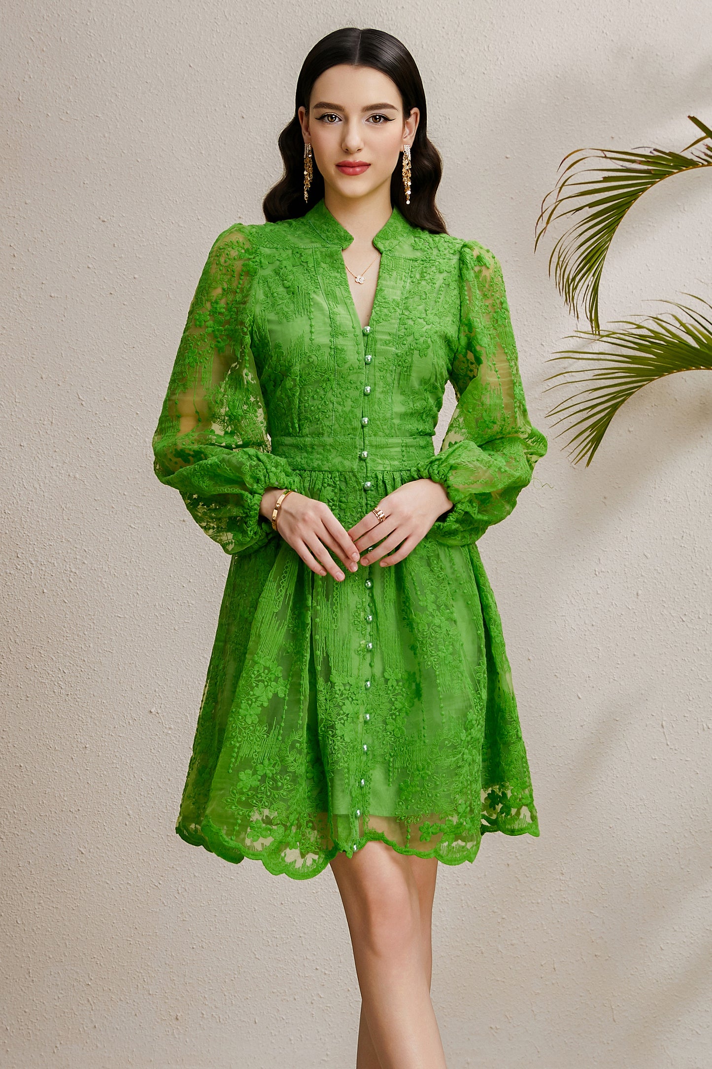 Women's V-Neck Lace Lantern Sleeve Pleated Mini Dress