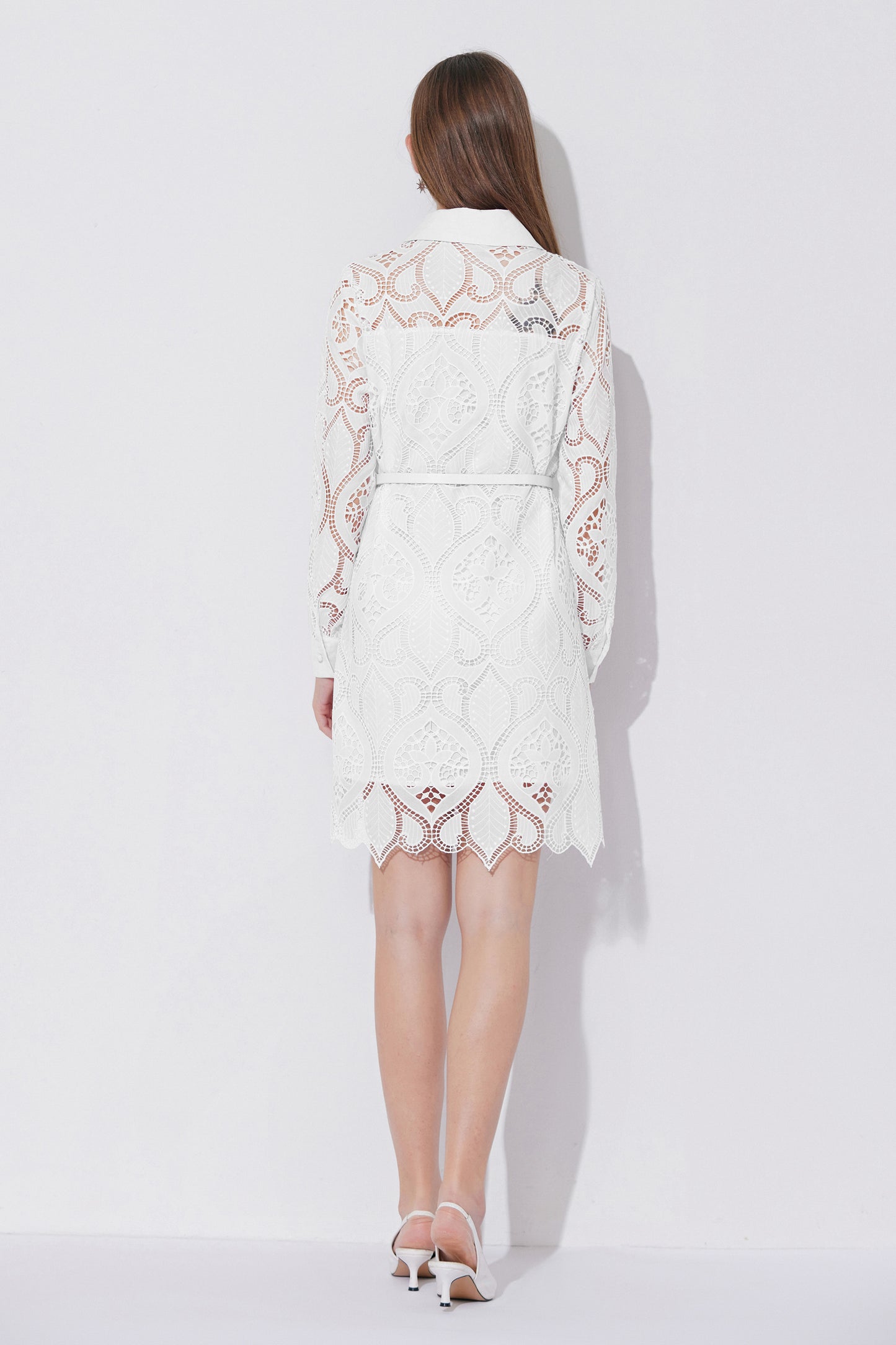 Women's Lace Hollow Embroidery Mini Dress