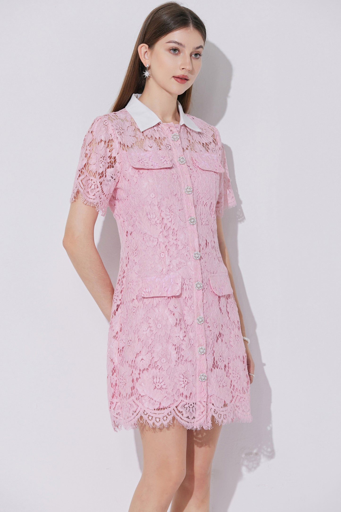 Women's Lace Floral Contrast Collar Mini Dress
