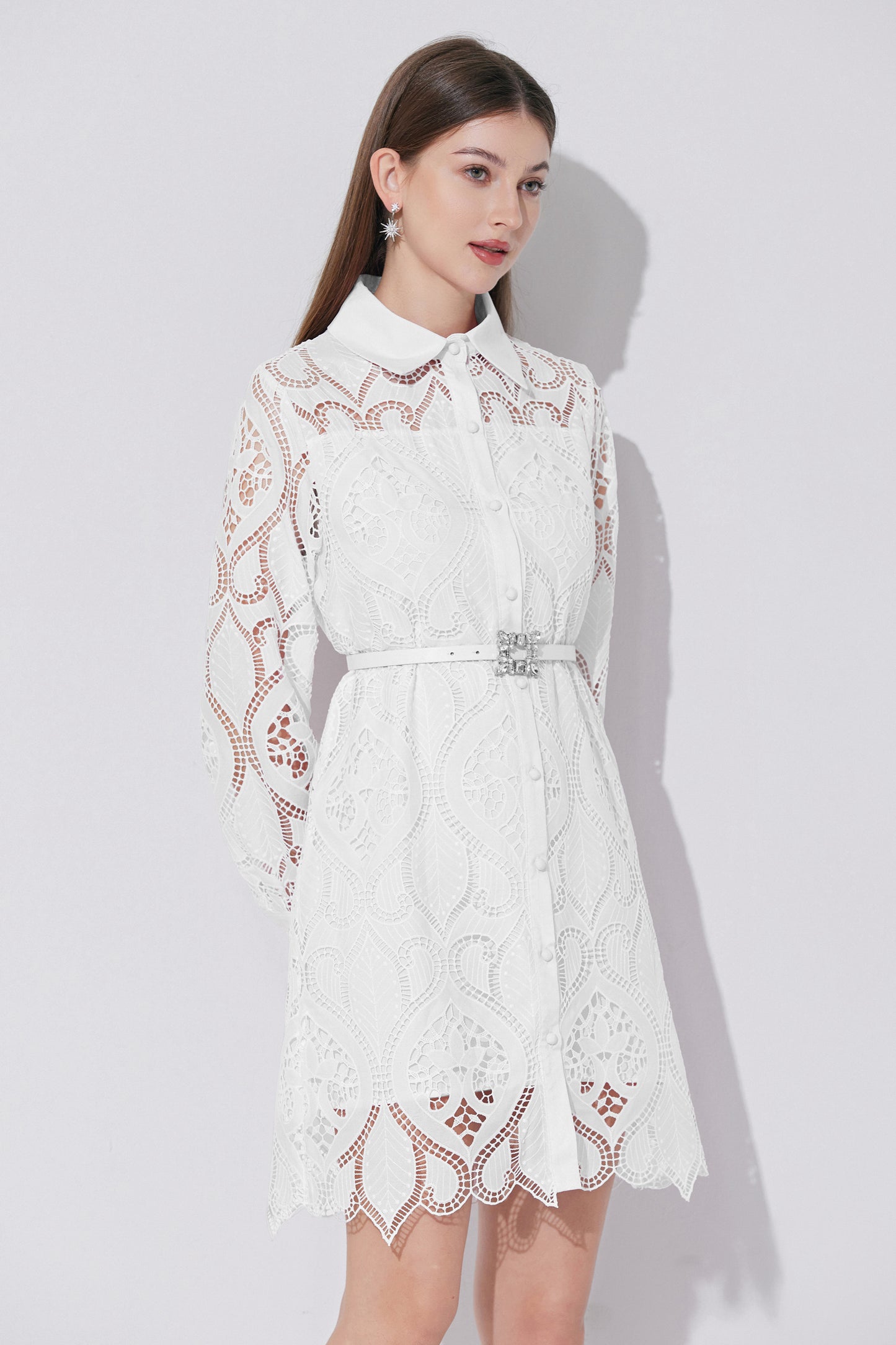 Women's Lace Hollow Embroidery Mini Dress
