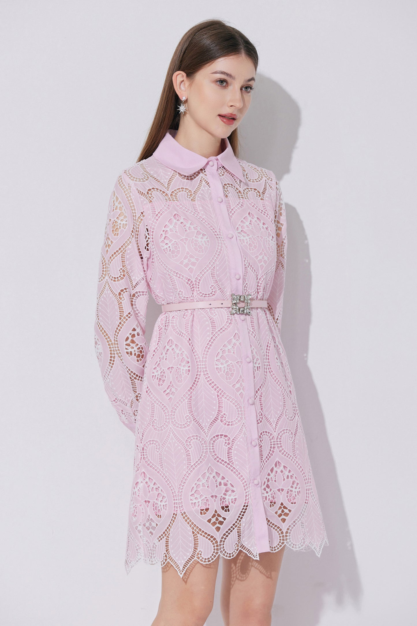 Women's Lace Hollow Embroidery Mini Dress
