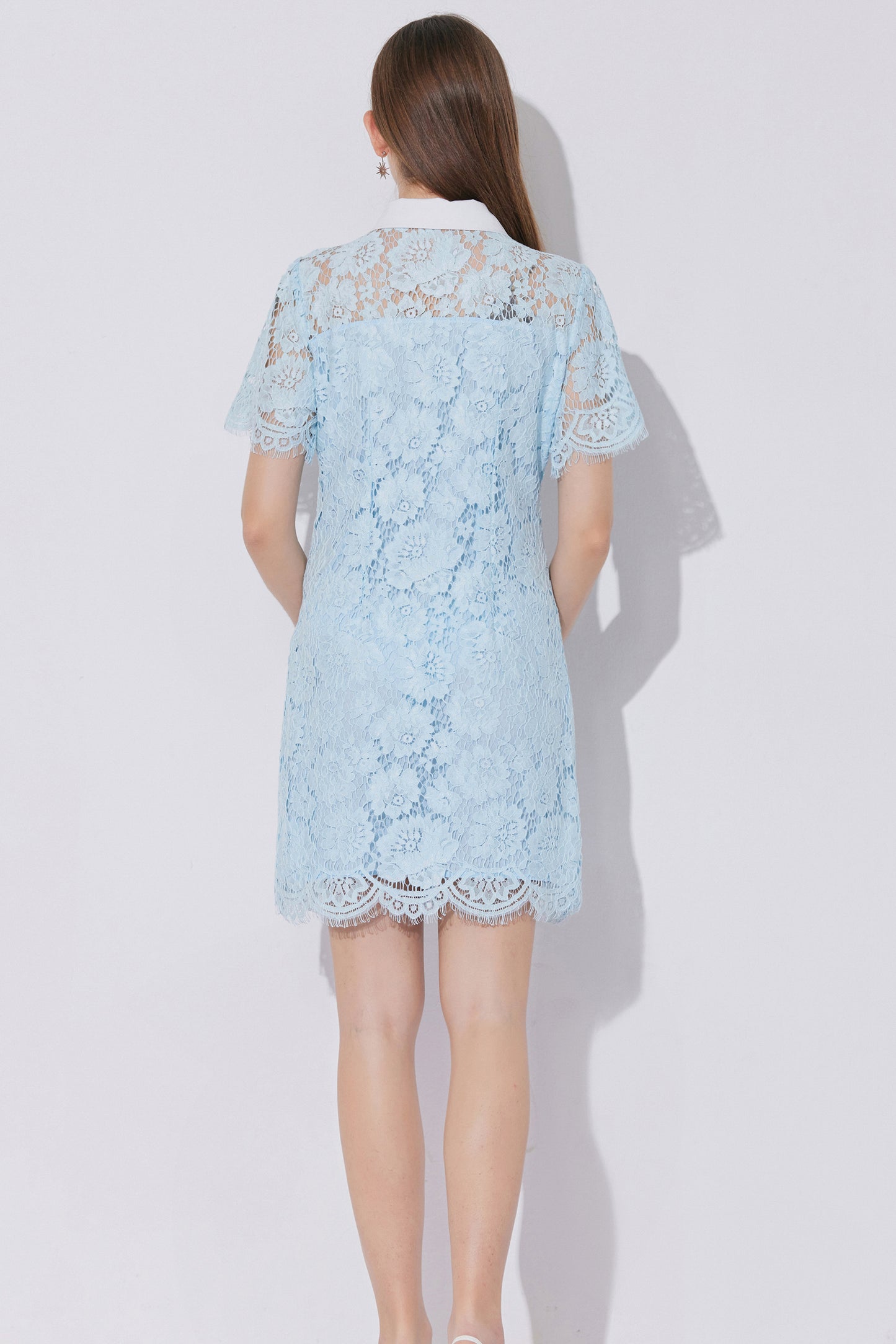 Women's Lace Floral Contrast Collar Mini Dress