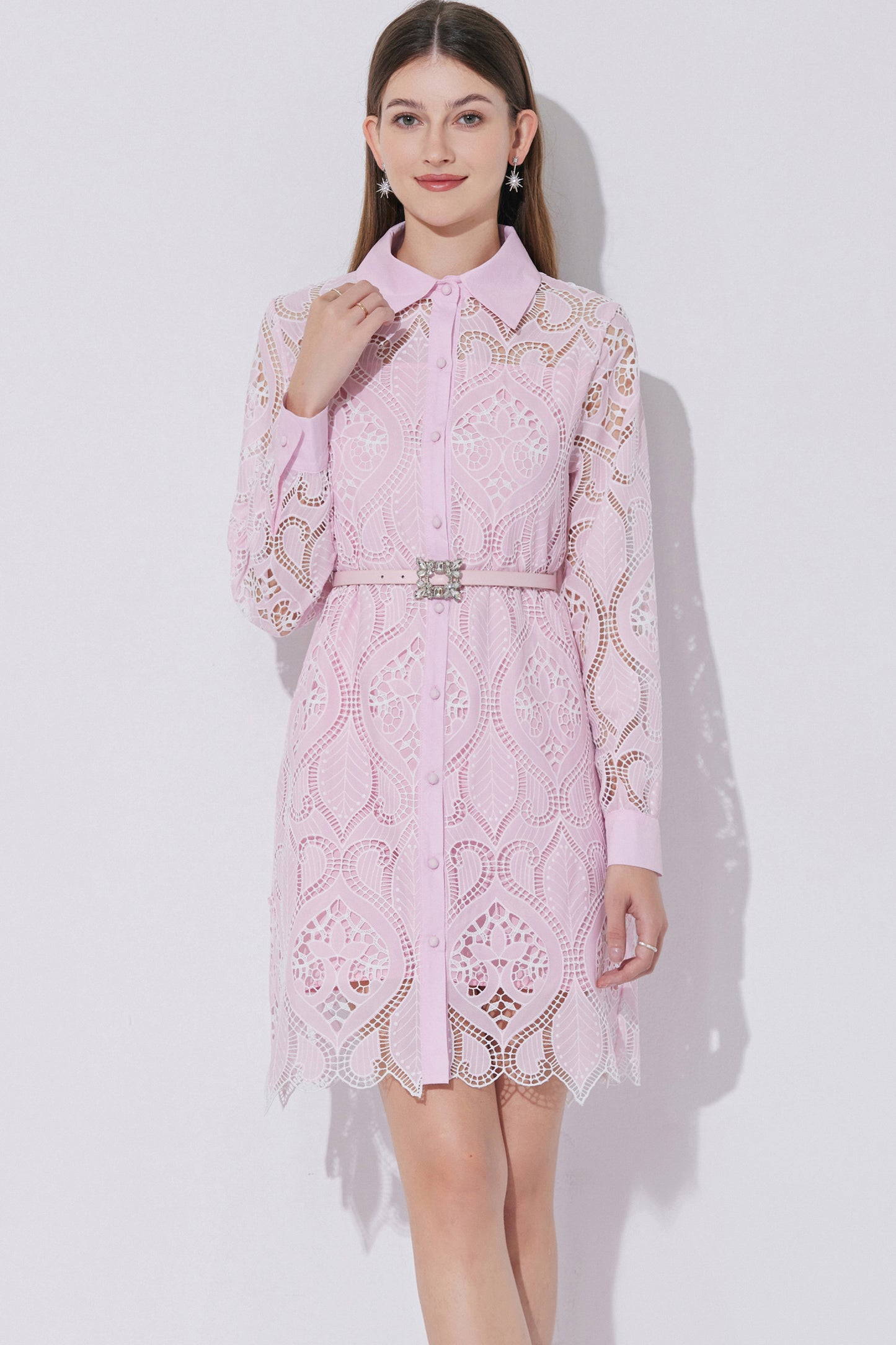 Women's Lace Hollow Embroidery Mini Dress