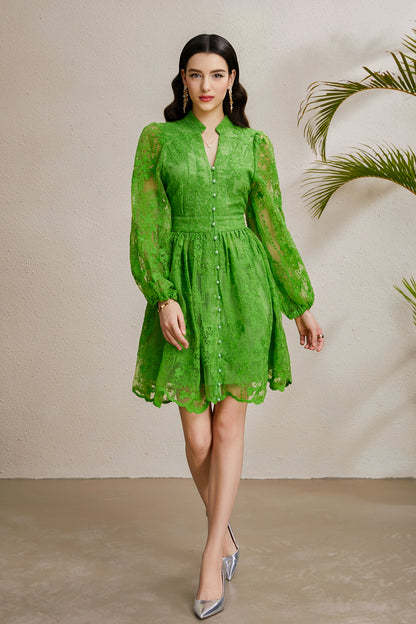 Women's V-Neck Lace Lantern Sleeve Pleated Mini Dress