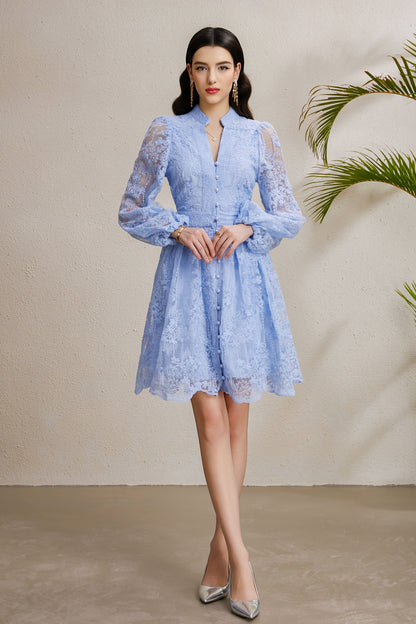 Women's V-Neck Lace Lantern Sleeve Pleated Mini Dress