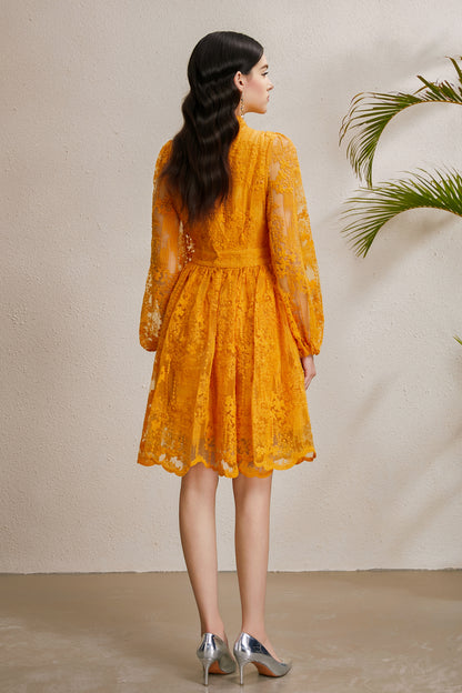 Women's V-Neck Lace Lantern Sleeve Pleated Mini Dress
