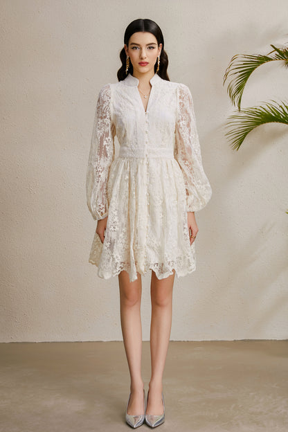 Women's V-Neck Lace Lantern Sleeve Pleated Mini Dress