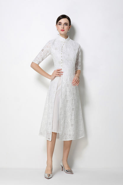 Elegant Embroidered Midi Dress with Mandarin Collar – Modern Qipao Style - LAI MENG FIVE CATS