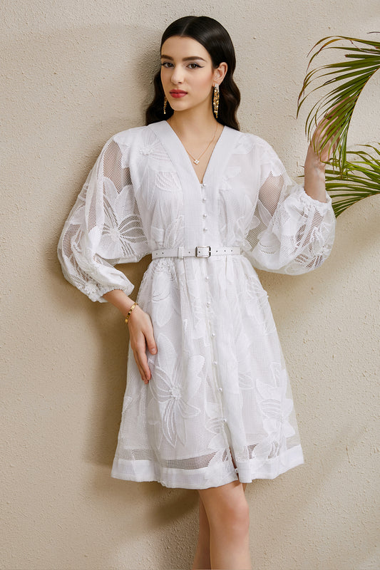 Women's V-Neck Hollow Lace Puff Sleeve Mini Dress