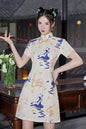 Women's Chinese Cheongsam Print Mini Dress