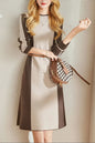 Women's Long Sleeve Sweater Knit Color Block Dress