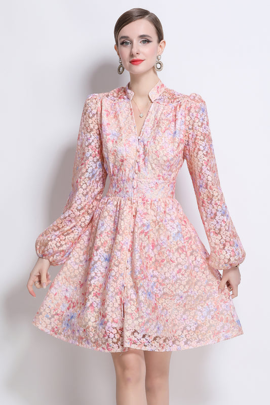 Women's Mesh Embroidery V-Neck Mini Dress