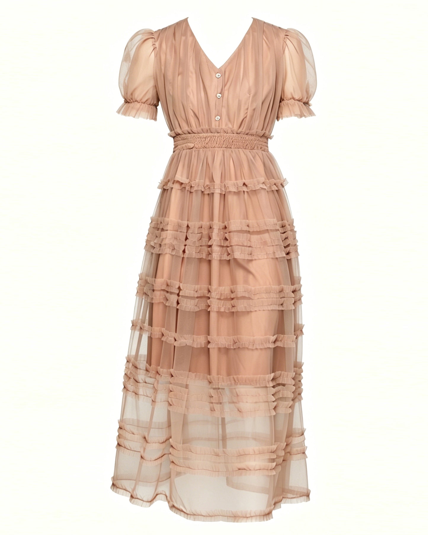 LAI MENG FIVE CATS Dusty Blush Mesh Maxi Dress