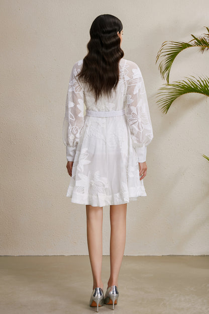 Women's Hollow Lace Floral Lantern Sleeve Mini Dress