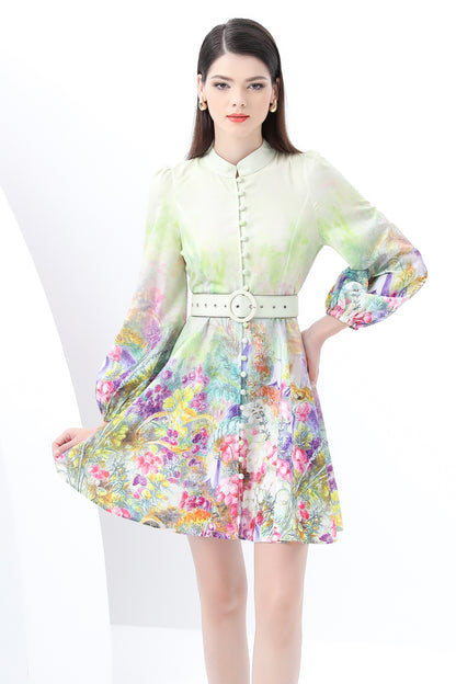 Women's Lantern Sleeve Floral Print Mini Dress