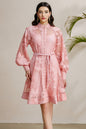 Women's Hollow Lace Floral Lantern Sleeve Mini Dress