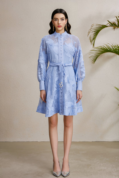 Women's Hollow Lace Floral Lantern Sleeve Mini Dress