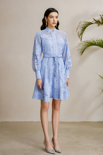 Women's Hollow Lace Floral Lantern Sleeve Mini Dress