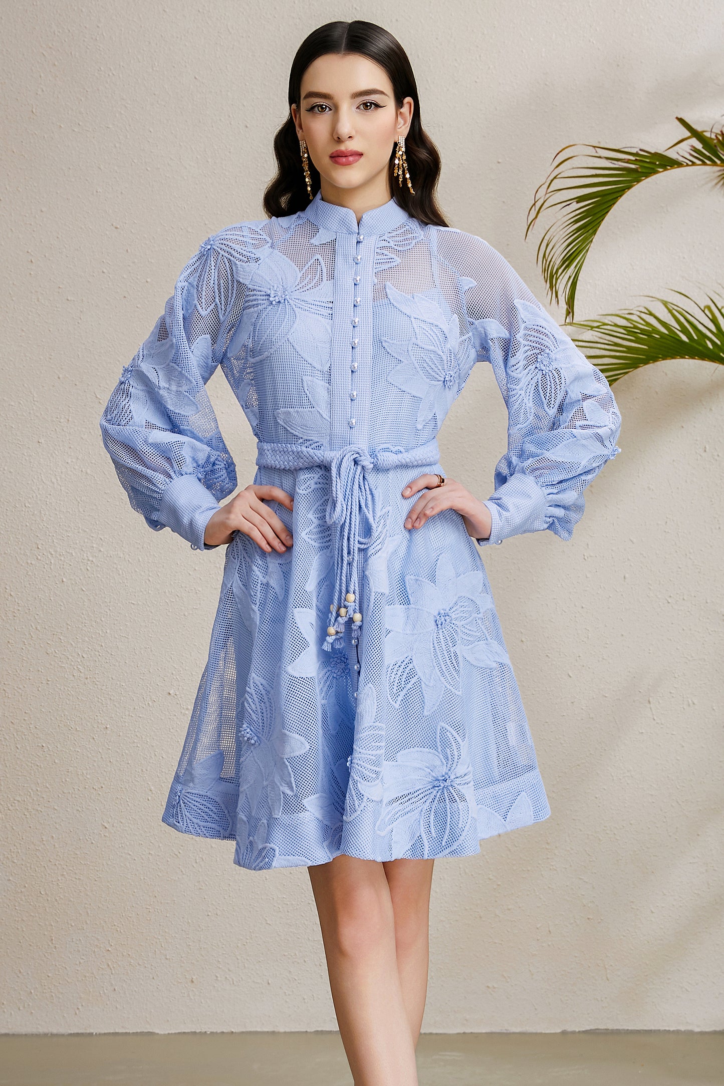 Women's Hollow Lace Floral Lantern Sleeve Mini Dress