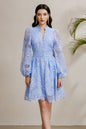 Women's V-Neck Lace Lantern Sleeve Pleated Mini Dress