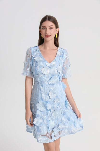 Light Blue 3D Floral Embroidered Mini Dress