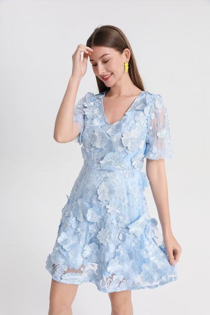 Light Blue 3D Floral Embroidered Mini Dress