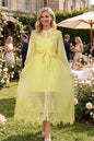 Sheer Embroidered Organza Maxi Dress with Slip & Belt - LAI MENG FIVE CATS