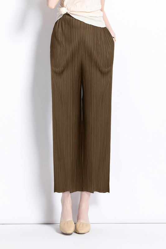 Brown Elastic Casual Pleated Trouser