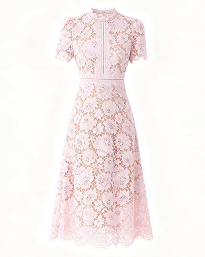 Lace Midi Dress | Timeless Evening Elegance