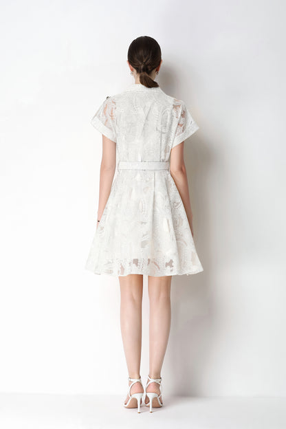 Elegant Lace Mesh Shirt Dress – Feminine & Chic