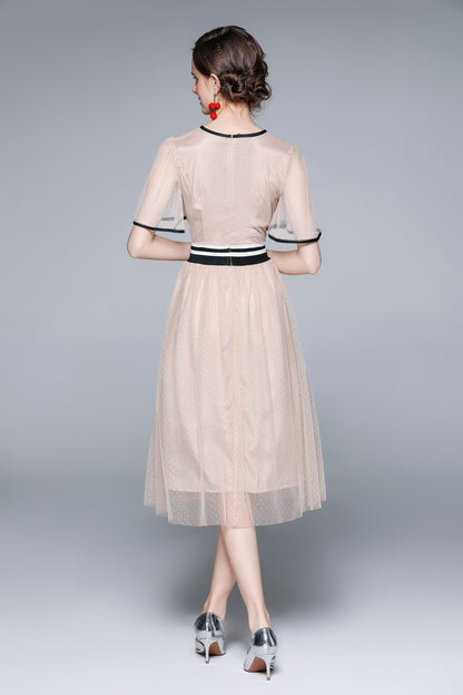 Vintage Elegant Mesh Embroidered Midi Dress