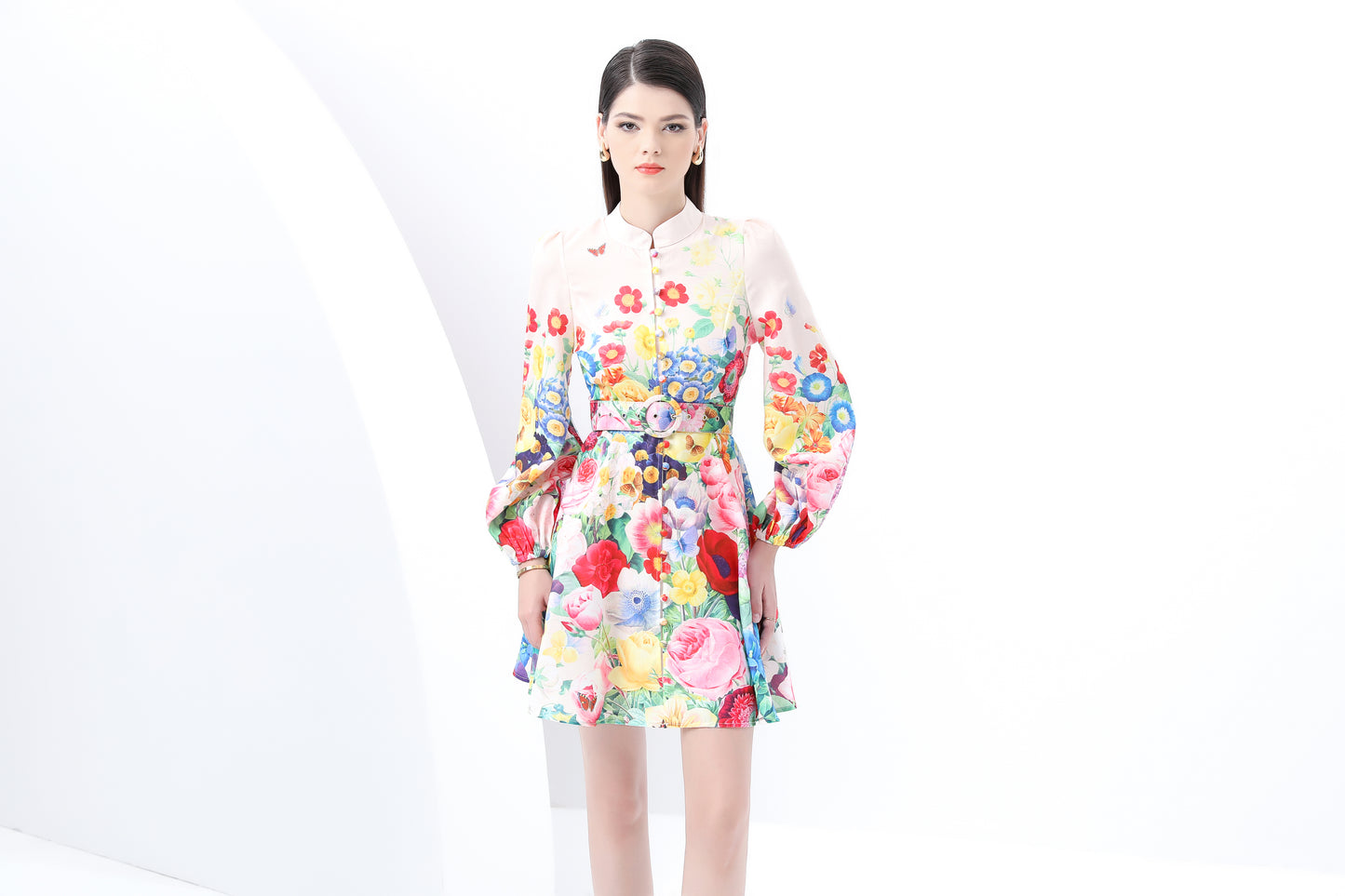 Women's Lantern Sleeve Floral Print Mini Dress