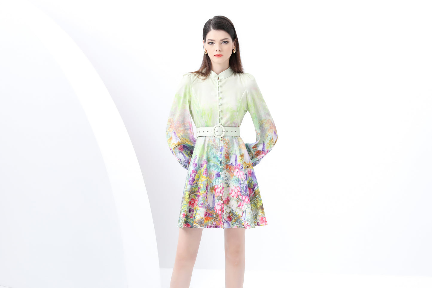 Women's Lantern Sleeve Floral Print Mini Dress