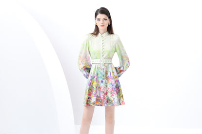 Women's Lantern Sleeve Floral Print Mini Dress